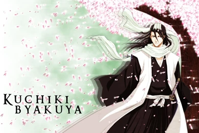 Byakuya Kuchiki Wallpapers   Wallpapers Cave