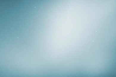 Green tree wallpaper 3 4503 HD Wallpapers