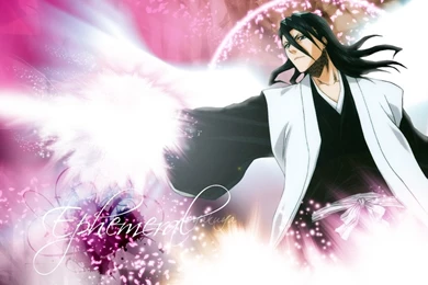 Byakuya ♥   Kuchiki Byakuya Wallpapers (25531317)   Fanpop