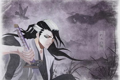 Byakuya   Kuchiki Byakuya Wallpapers (13423888)   Fanpop