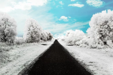 Winter Road Wallpapers 2015   Grasscloth Wallpapers