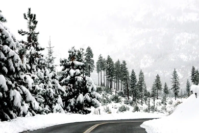 Winter Road Wallpapers Desktop