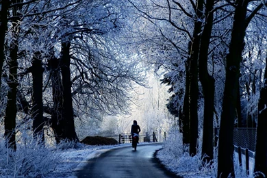 Winter Road Scene HD Desktop Wallpapers : Widescreen : High ...