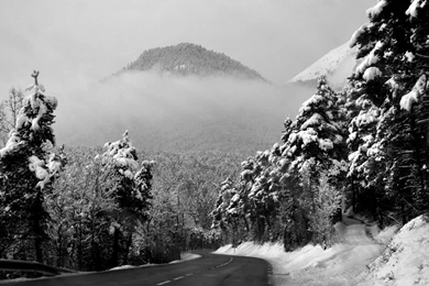 Download Silence And Stillness On A Winter Road Wallpapers ...