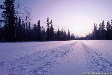 Winter Road Wallpapers   Crazy Frankenstein