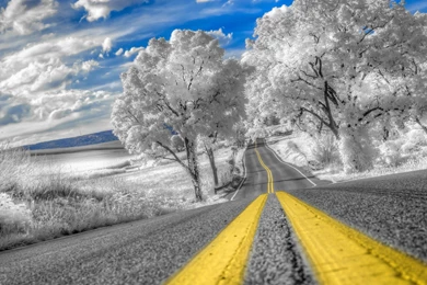 Very Beautiful Winter Road With Frost covered Trees Wallpapers And ...