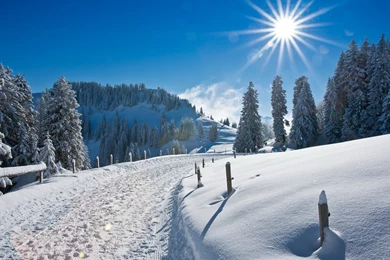 Winter Road Wallpapers And Images   Wallpapers, Pictures, Photos