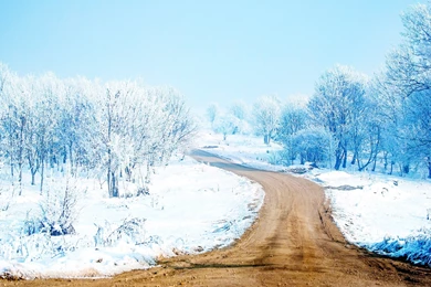 23+ Best HD Gorgeous Winter Road Wallpapers