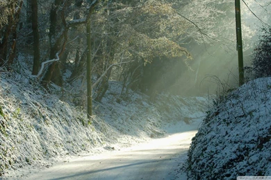 Download Road Turn Winter Wallpapers 1920x1080