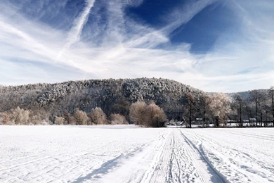 Winter Road Wallpapers