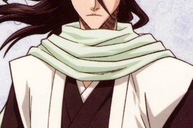 Download Wallpapers 750x1334 Byakuya Kuchiki, Renji Abarai, Boys ...