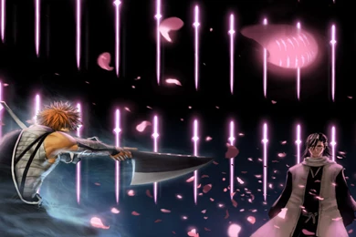 Ichigo Kurosaki Vs Byakuya Kuchiki   1920x1200   Full HD 16/10 ...