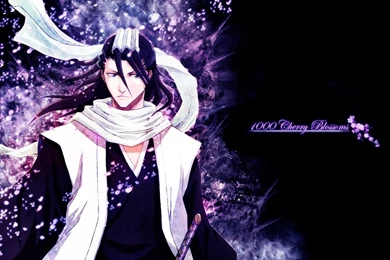Wallpapers Bleach Anime Kuchiki Byakuya 1024x768