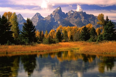 Download Wallpapers Morning Light, Grand Teton National Park ...
