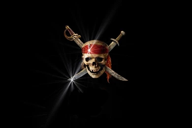 Pirates Of The Caribbean Skull Swords Funny Roger