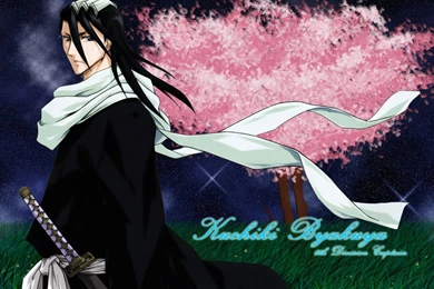 Byakuya   Kuchiki Byakuya Wallpapers (13423857)   Fanpop