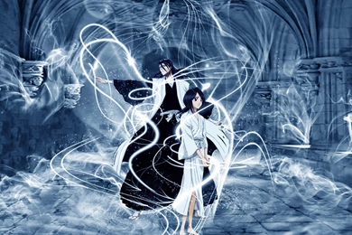 Bleach Kuchiki Byakuya Kuchiki Rukia Sode No Shirayuki Wallpapers ...