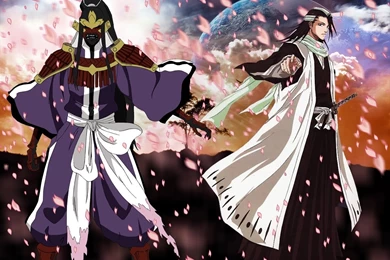 49869_kuchiki byakuya maga bleach.jpg