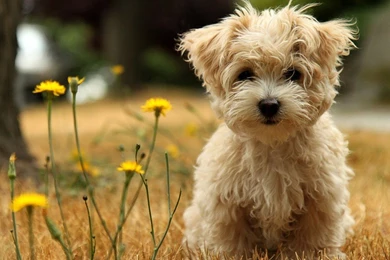 2015 09 22   Page 10