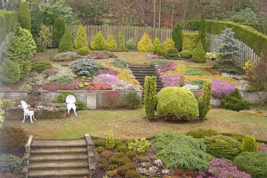 Spring Park Wallpapers   Crazy Frankenstein