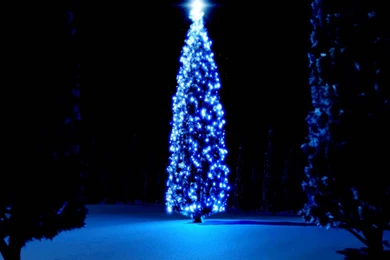 Free Download Christmas Tree HD Wallpapers For iPad