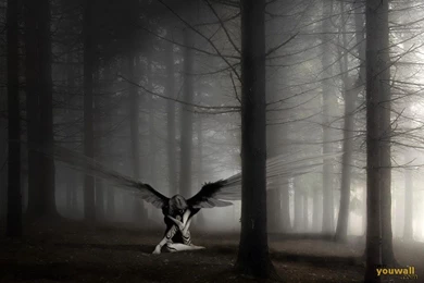 Dark Angel Backgrounds   Wallpapers Cave