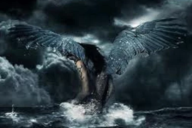 Black Angel Picture Wallpapers   Wallpapers