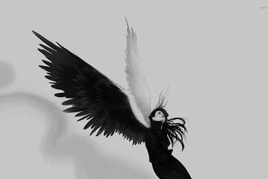 Two Black Winged Angels Hd Wallpapers 22955 Car Pictures