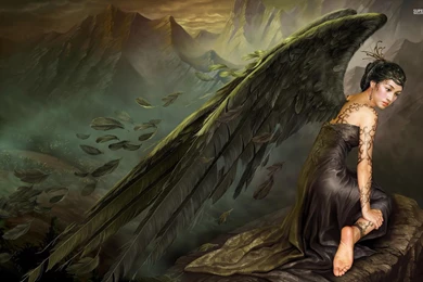 Black Angel : Desktop And Mobile Wallpapers : Wallippo