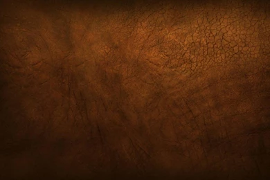 Minimalistic Ubuntu Elephant Textures Wallpapers   (