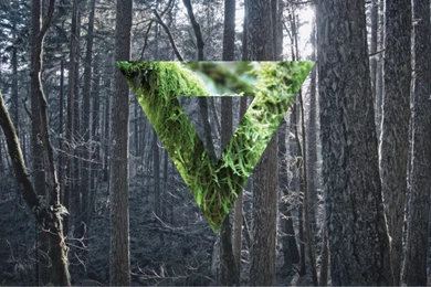 Wallpapers HD   Forrest Collage, Hipster