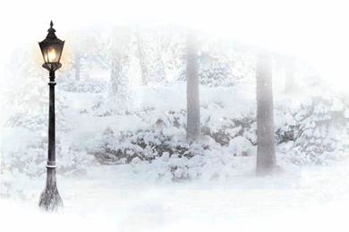 This Way To Narnia………….. F o r Narniaaaaaa