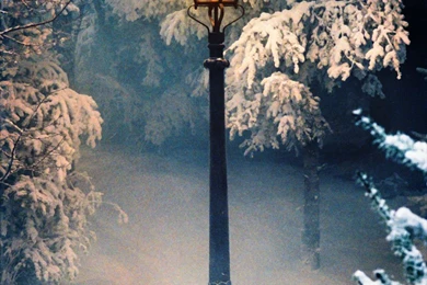 From The Wardrobe To The Wizard