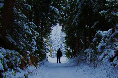 1024x768 Narnia Castle Desktop PC And Mac Wallpapers