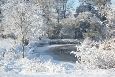 Fun & Celebrities: The Magic Of Winters