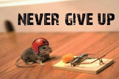 6 Money Mistakes To Avoid And How To Avoid Them