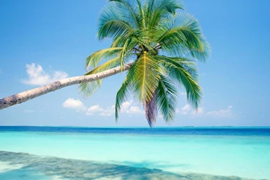 Beach Desktop Backgrounds 1920x1080 Best HD Desktop Wallpapers ...
