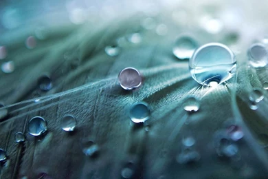 Hd Wallpapers For Android Tab   Android Image Wallpapers HD