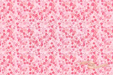 Pink Vintage Wallpapers   3 Items