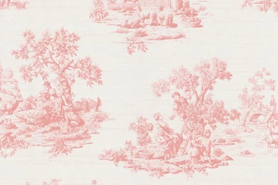 Brewster Pink Vintage Toile Wallpapers   15464463   Overstock.com ...