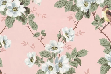 Vintage Wallpapers On Pinterest