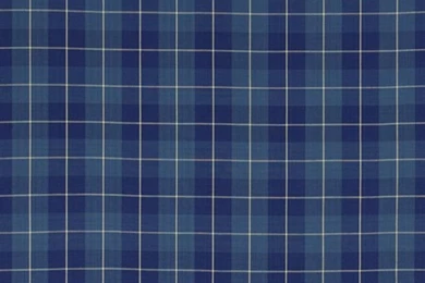 Palm Harbor Plaid Blue Fabric