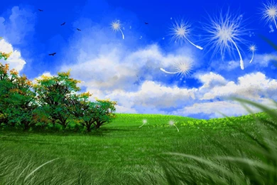 Large Desktop Backgrounds – 2560×1440 High Definition Wallpapers ...