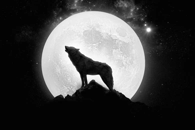 Large Desktop Backgrounds Hd Wallpapers 3d Hd Pictures.