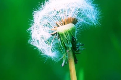 Outstanding Free Wallpapers For Samsung Galaxy S3