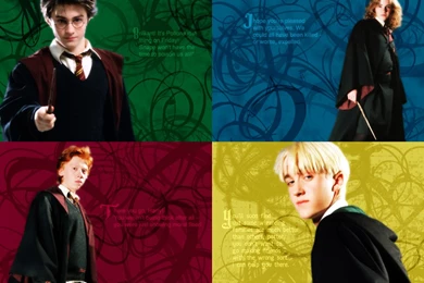 Harry Potter   Harry Potter Wallpapers (213666)   Fanpop