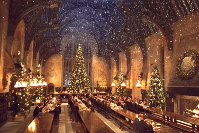 Harry Potter Wallpapers   Harry Potter Wallpapers (24474032)   Fanpop