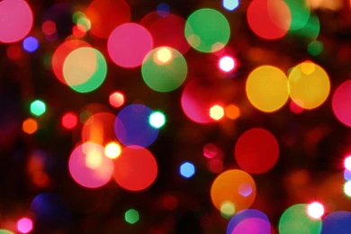 Holiday Backgrounds Collection (48+)