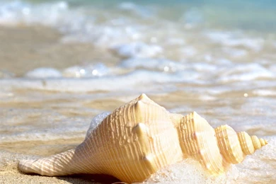 Seaside Landscape Desktop HTC One 1080x1920 Wallpapers HD_Samsung ...