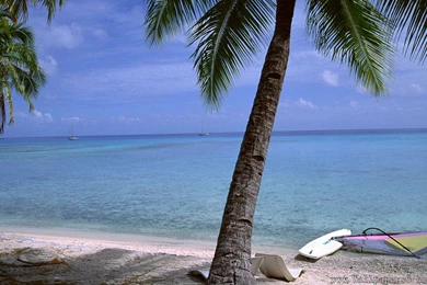 Seaside And Coco － Landscape Wallpapers   Free Download ...